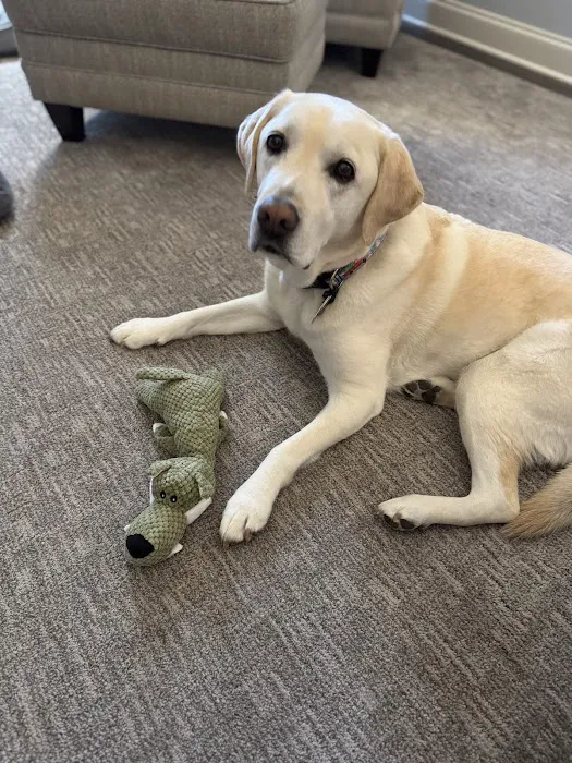 Country Companion Animal Hospital Picture 7