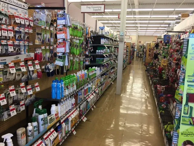 Pet Supplies Plus Wethersfield Picture 2