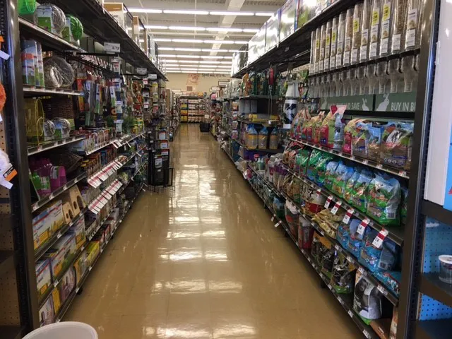 Pet Supplies Plus Wethersfield Picture 5