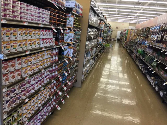 Pet Supplies Plus Wethersfield Picture 8