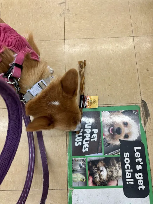 Pet Supplies Plus Wethersfield Picture 10