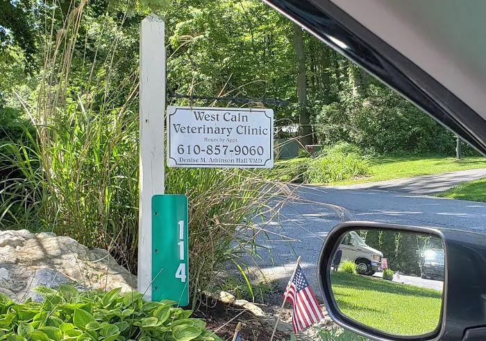 West Caln Veterinary Clinic & Mobile Veterinary Service Picture 5