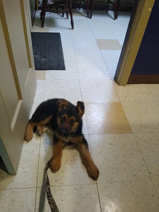 West Caln Veterinary Clinic & Mobile Veterinary Service Picture 8