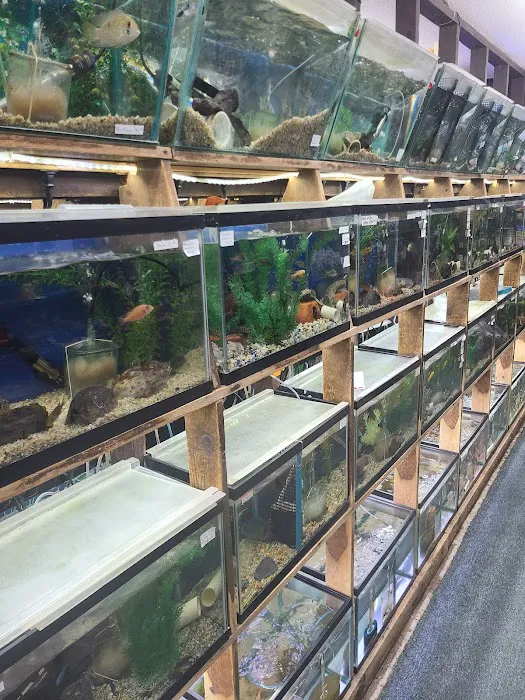 Emmons Tropical Fish & Ponds Picture 1