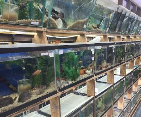 Emmons Tropical Fish & Ponds