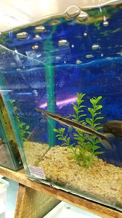 Emmons Tropical Fish & Ponds Picture 3