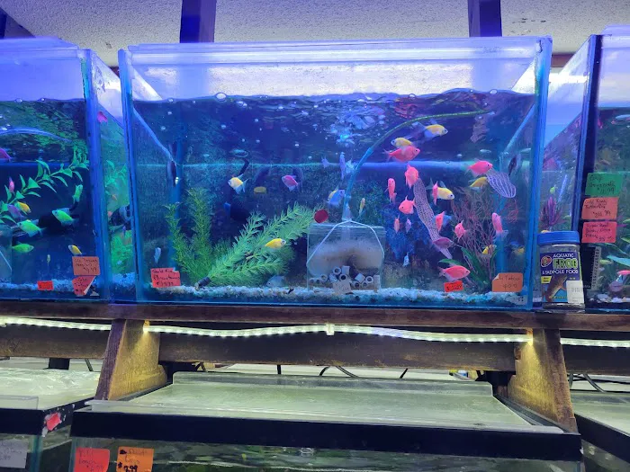 Emmons Tropical Fish & Ponds Picture 6