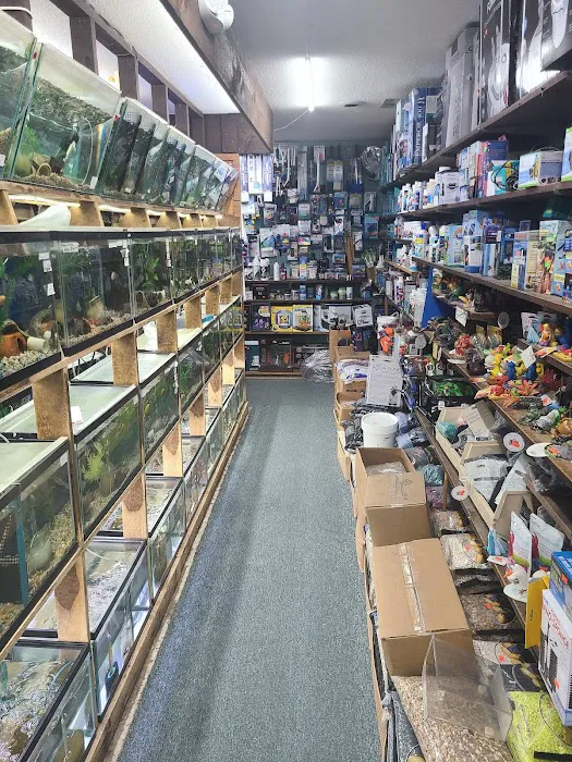 Emmons Tropical Fish & Ponds Picture 4