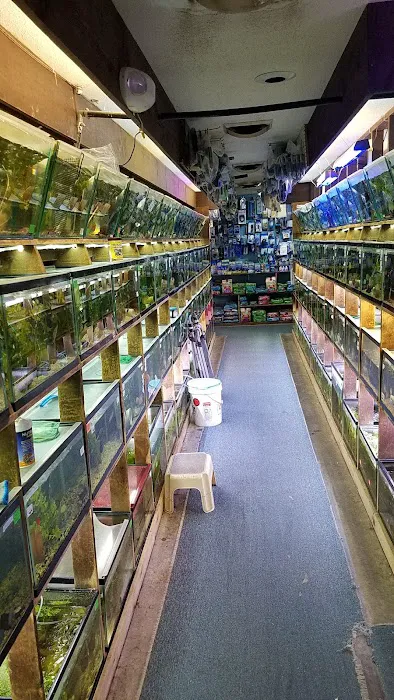 Emmons Tropical Fish & Ponds Picture 9