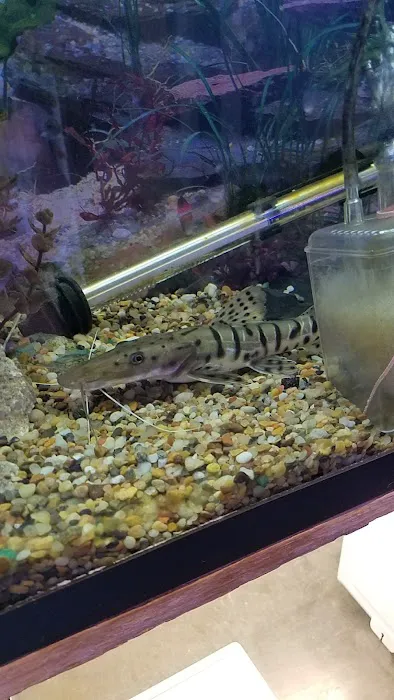 Emmons Tropical Fish & Ponds Picture 8