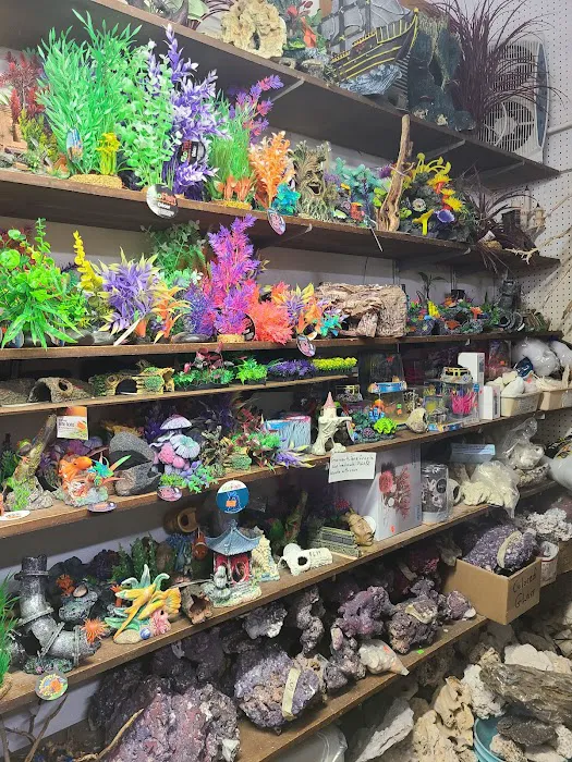 Emmons Tropical Fish & Ponds Picture 7