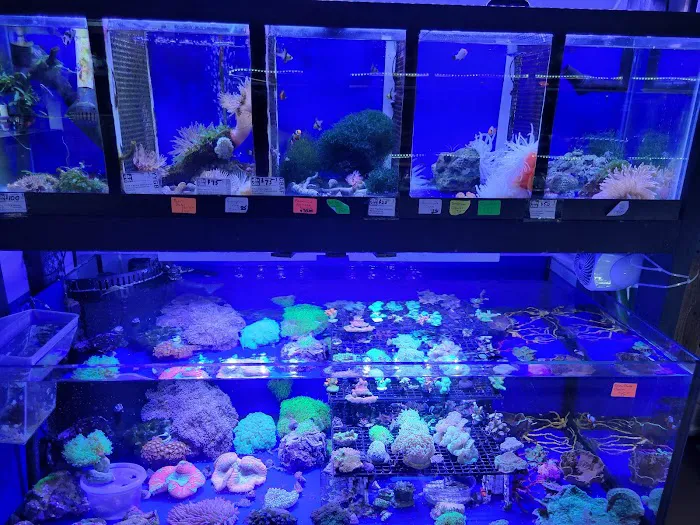 Emmons Tropical Fish & Ponds Picture 10