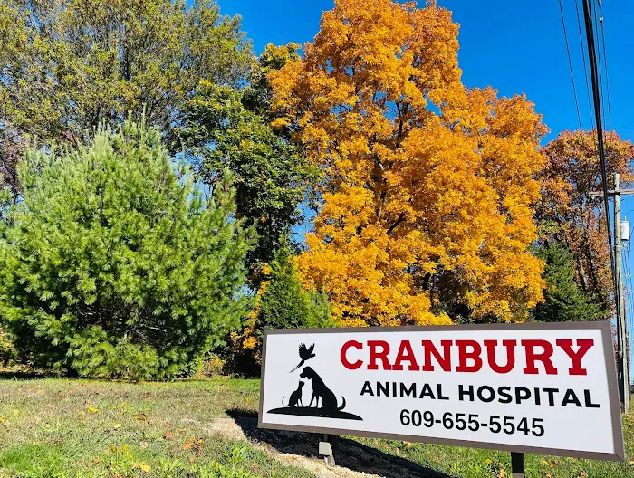 Cranbury Animal Hospital Picture 3