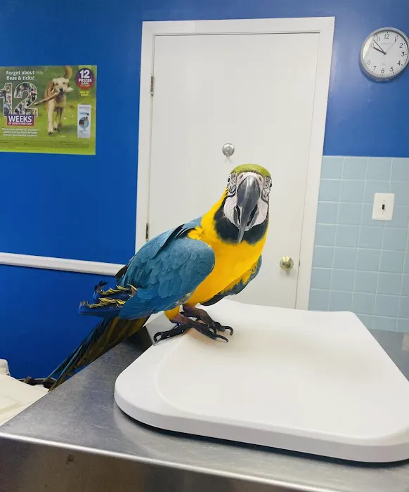 Cranbury Animal Hospital Picture 10