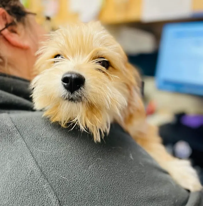 Cranbury Animal Hospital Picture 8