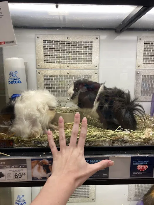 Petco Picture 2