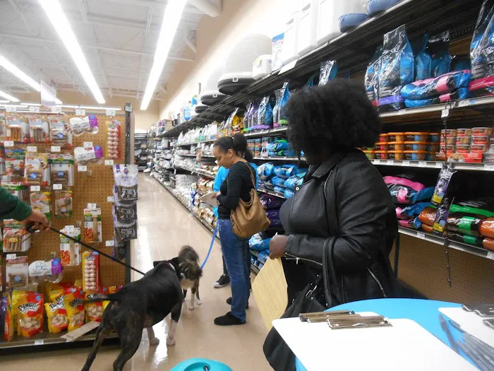 Petco Picture 3