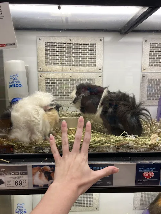 Petco Picture 4