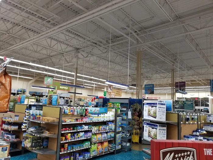 Petco Picture 7
