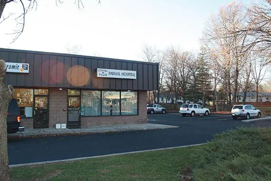 Clover Hill Animal Hospital Picture 2
