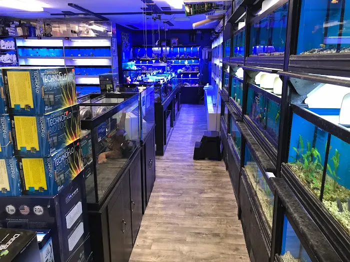 Aqua Dreams Picture 2