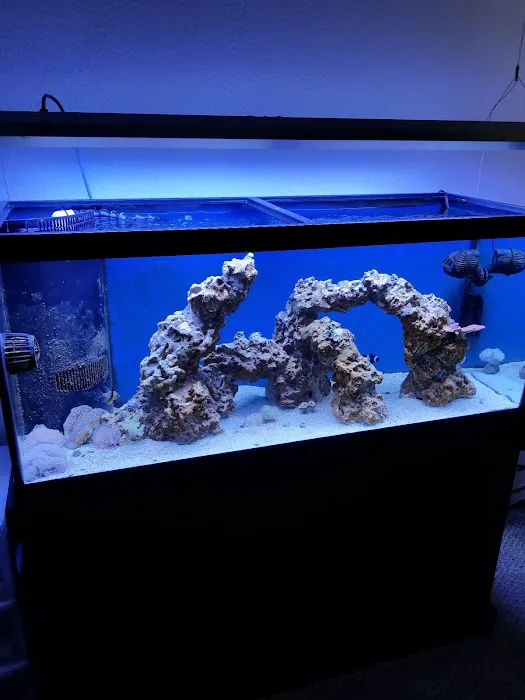 Aqua Dreams Picture 6