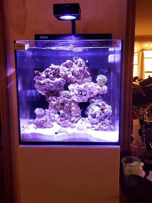 Aqua Dreams Picture 4