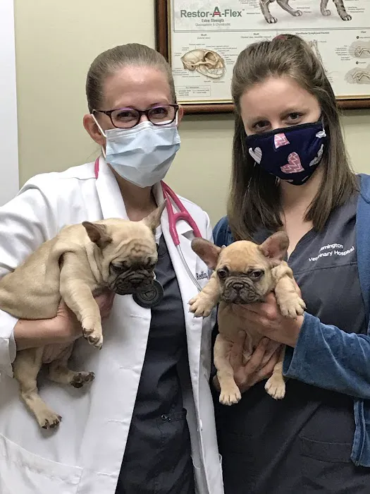 Flemington Veterinary Hospital Picture 10