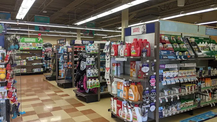 Petco Picture 2