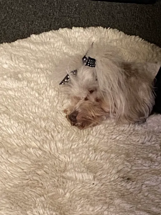 Petco Picture 10