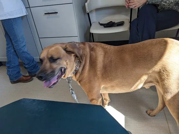 Paw Prints Veterinary Hospital Picture 1