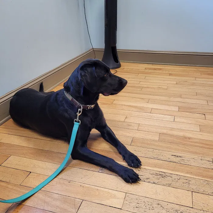 Paw Prints Veterinary Hospital Picture 2