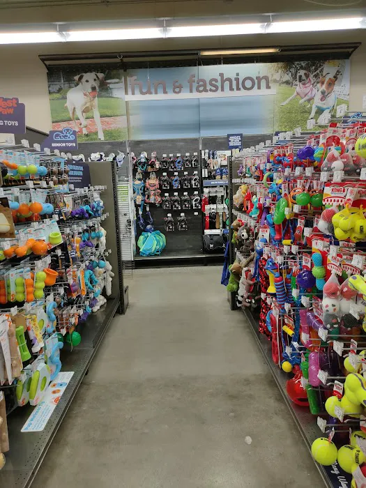 Petco Picture 4