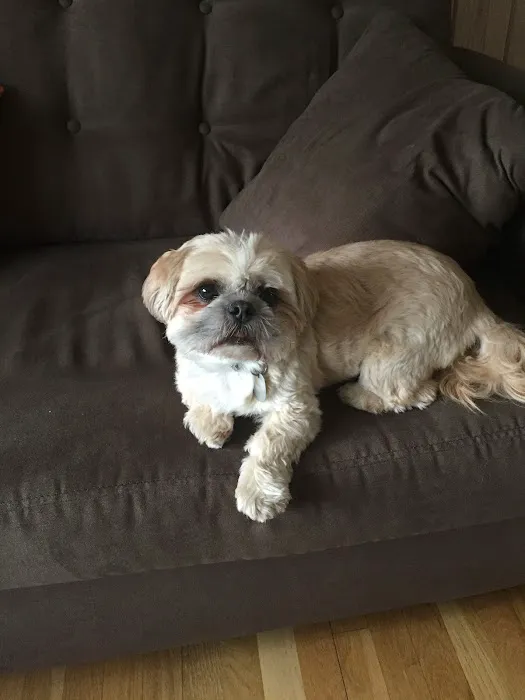 Harbor Pets Picture 10