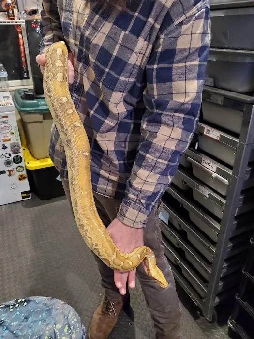 HJS Serpents LLC Picture 3