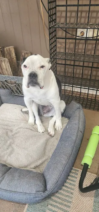 West Hunterdon Animal Hospital Picture 4