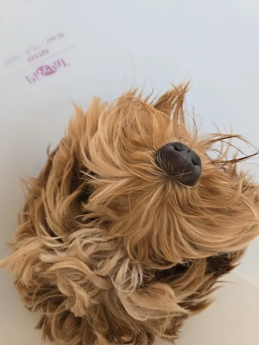 West Hunterdon Animal Hospital Picture 5