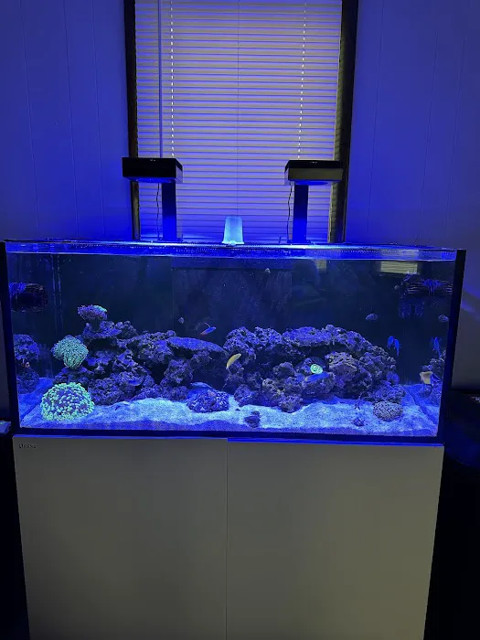 Coveys Coral Cove Picture 3