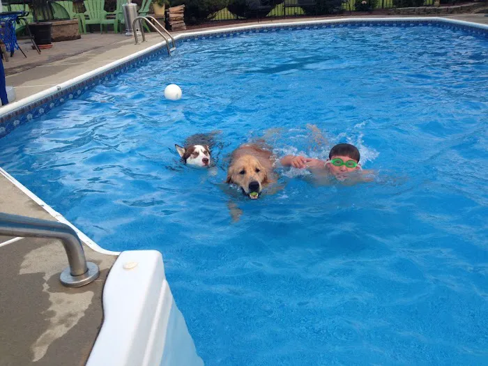 South Brunswick Animal Hospital Picture 7