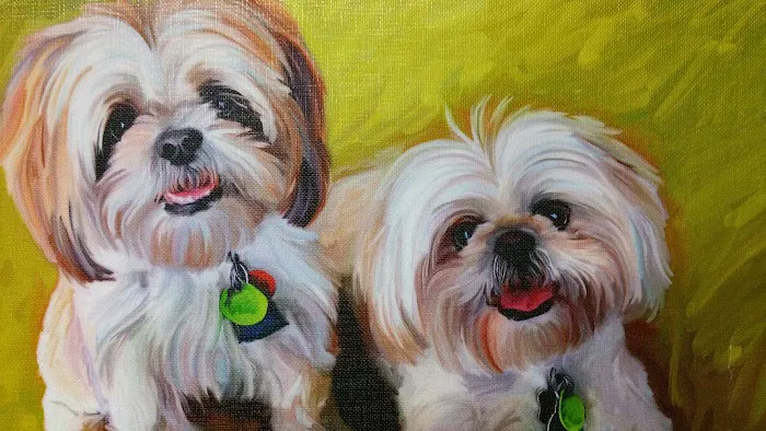 South Brunswick Animal Hospital Picture 10