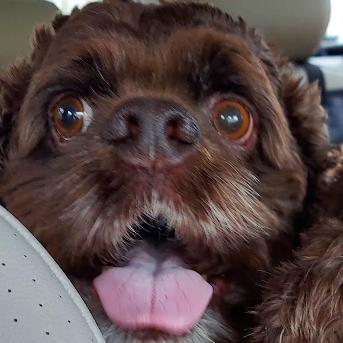 South Brunswick Animal Hospital Picture 9