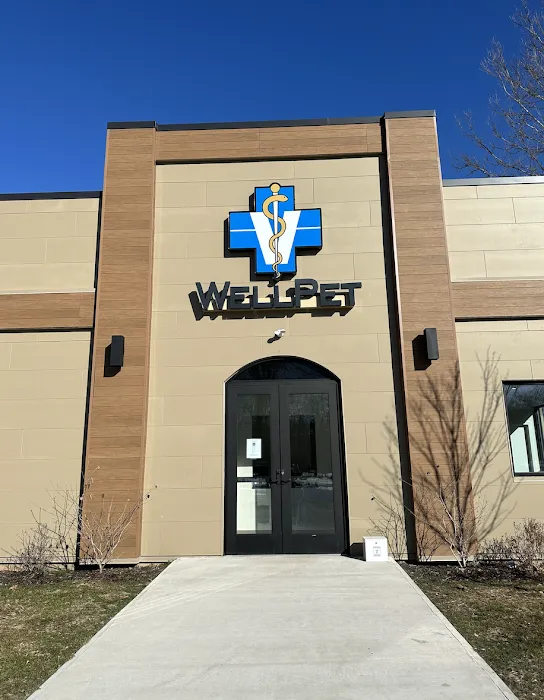 WellPet Veterinary Group Picture 1