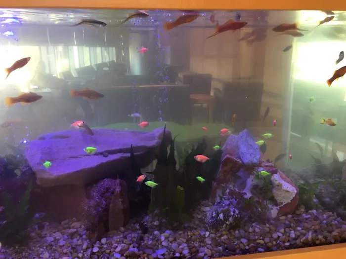 Aquarium Management Systems Picture 1