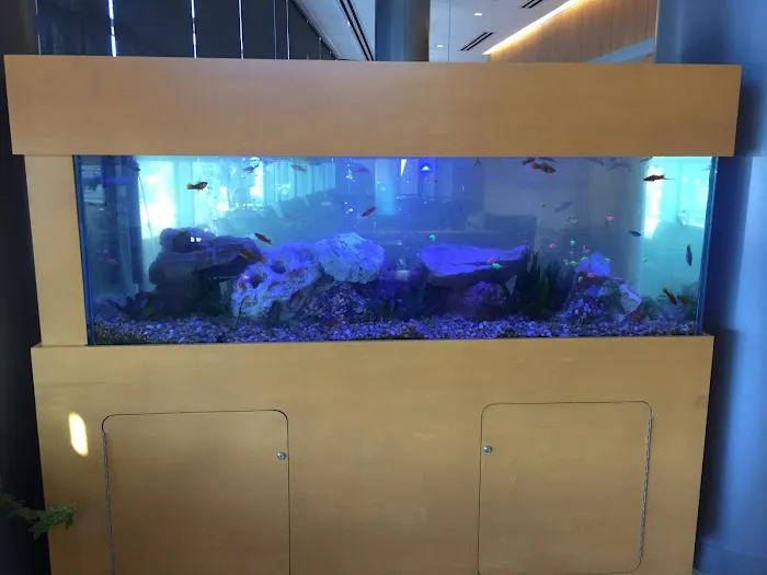 Aquarium Management Systems Picture 3