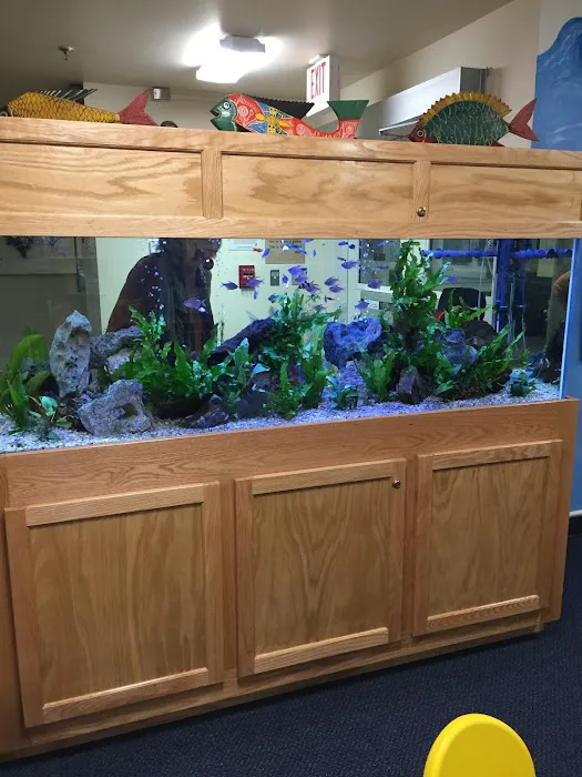 Aquarium Management Systems Picture 2