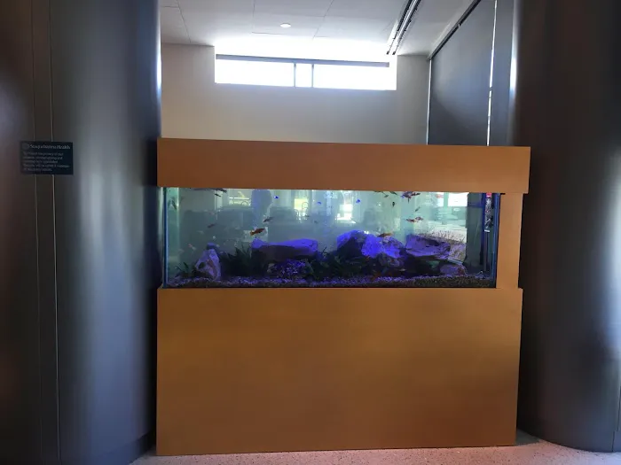 Aquarium Management Systems Picture 5