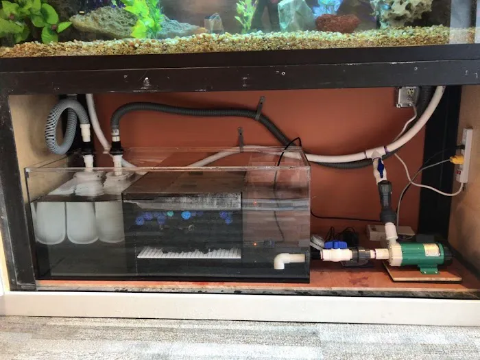 Aquarium Management Systems Picture 4