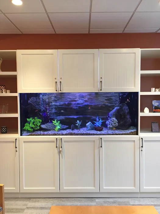 Aquarium Management Systems Picture 6