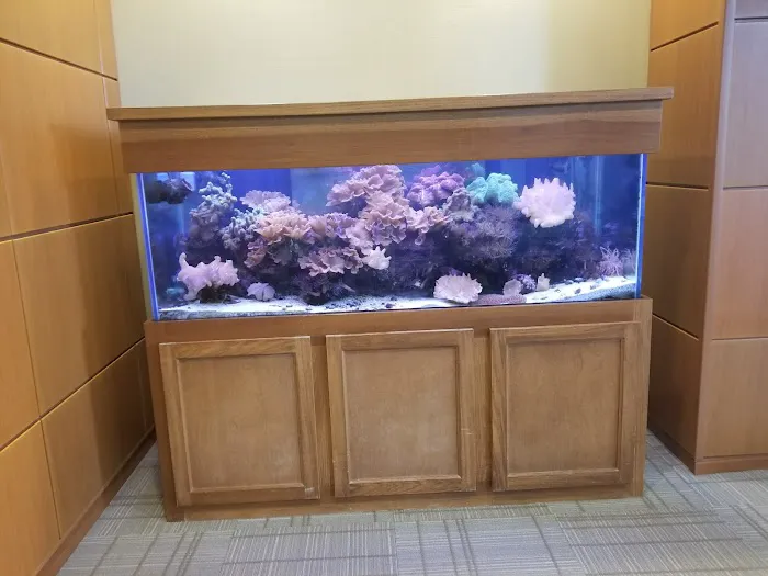 Aquarium Management Systems Picture 9