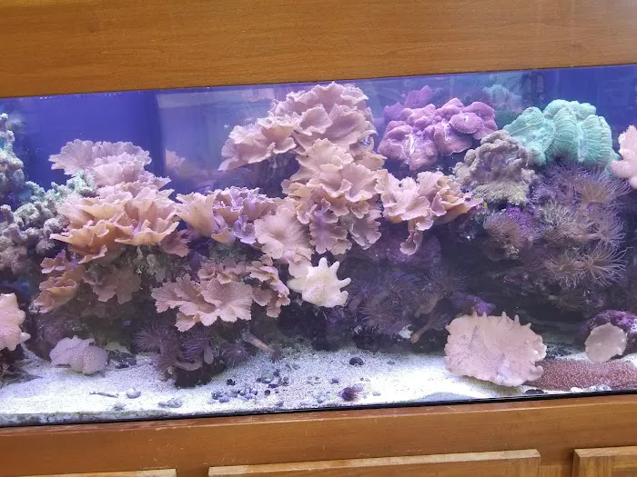 Aquarium Management Systems Picture 8